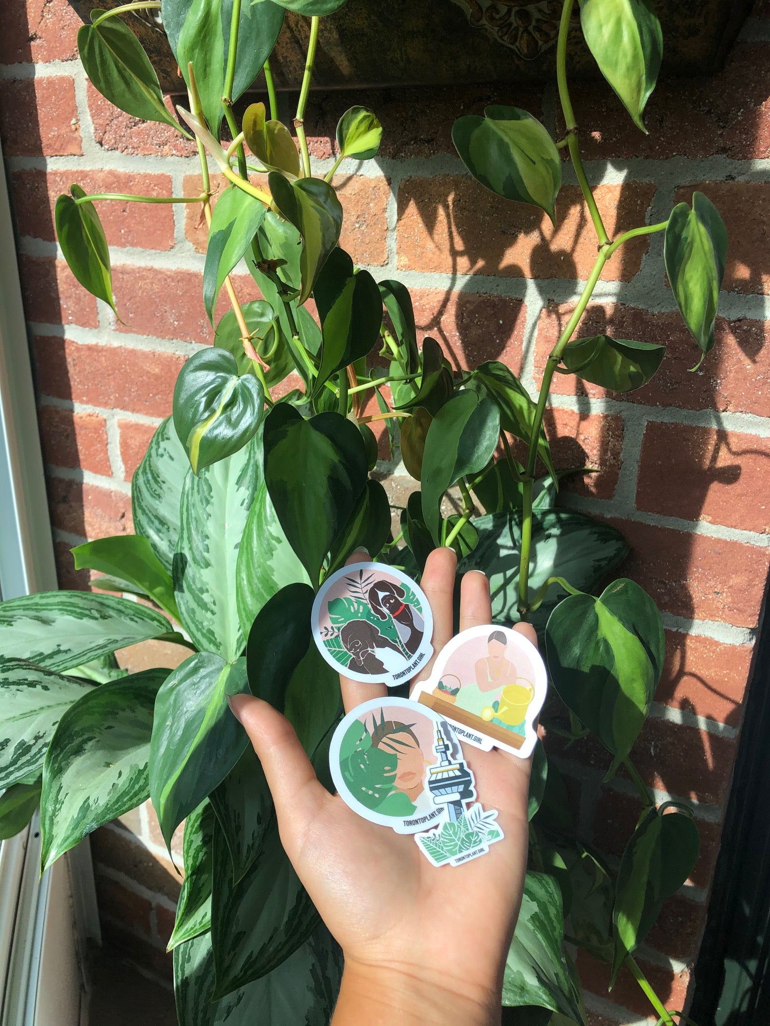 Toronto Plant Girl Stickers